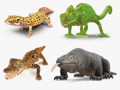 Rigged Reptiles Collection 2 for Cinema 4D 3D model