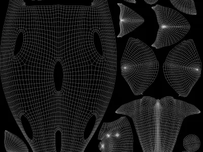 Realistic Tiger Shark Model 3D model