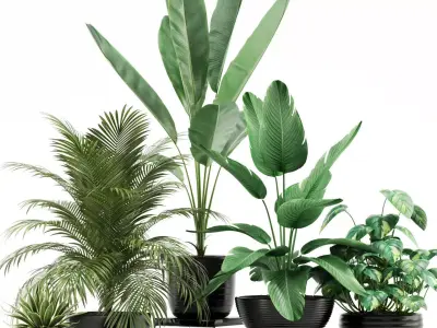 Plants collection 119 3D model