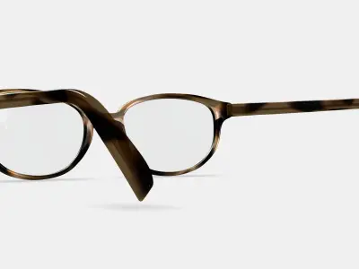 Ira Eyeglasses in Striped Sassafras 3D model