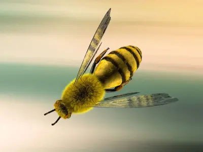A lovely Bee 3D model