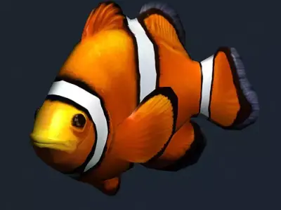 3DRT - Sealife - Clownfish Low-poly 3D model