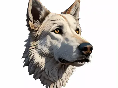 Realistic Wolf Head 3D Model Low-poly 3D model
