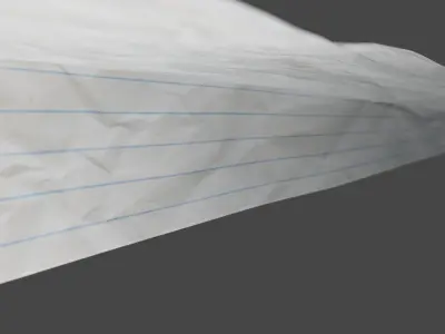 Paper Plane 3D Model 3D model