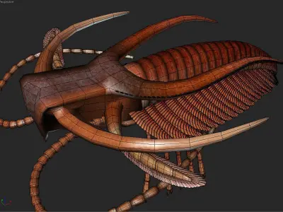 Marrella splendens 3D model