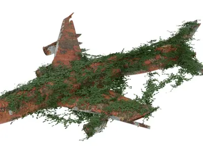 Damaged Rusted Airplane 3D model