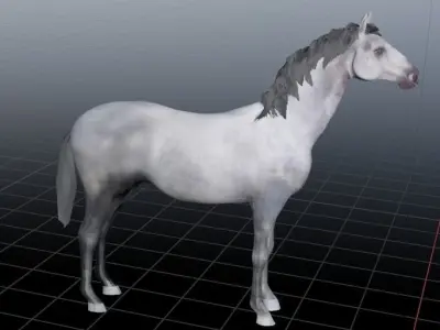 Realistic Gray Horse  Low-poly 3D model
