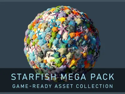 Starfish Mega Pack Low-poly 3D model