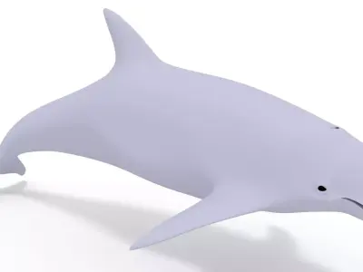 Dolphin 3D Model 3D model