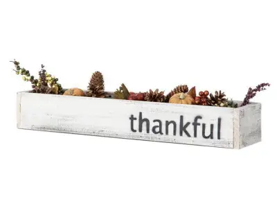 Pinheiro Serving Tray - 2 Colour Free 3D model