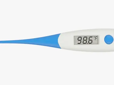 Thermometers Collection Fahrenheit V2 3D model