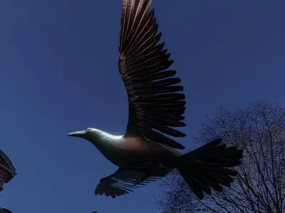 Crow flying 3D model