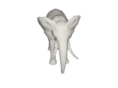 Elephant  3D model