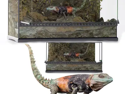 A set of terrariums  bonus Blue Island Viper Low-poly 3D model