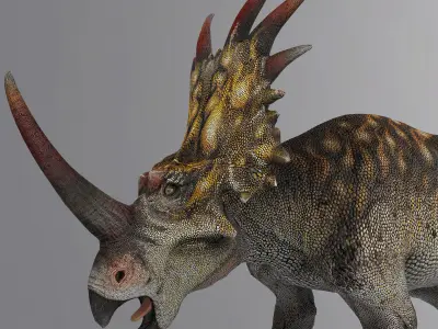 Styracosaurus triceratops dinosaur Low-poly 3D model