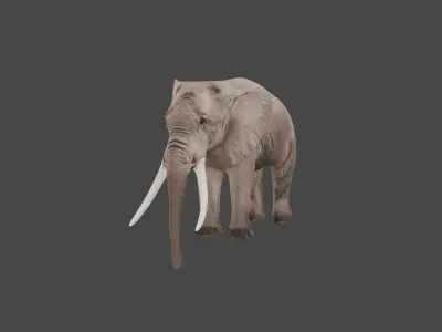 Elephant Animal Low-poly 3D model