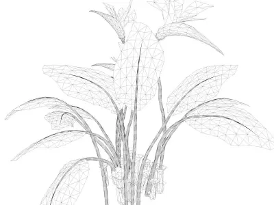 Bird of Paradise Flower - 09 - 3D model