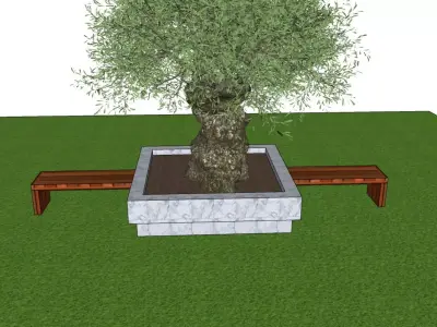Olive tree with seater olive europaea model 3D model