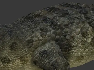 crocodile Low-poly 3D model