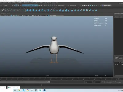 Realistic Seagull Model - Rigged Low-poly 3D model