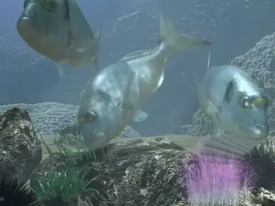 Sea Bream Fish Rigged with Underwater Scene Low-poly 3D model