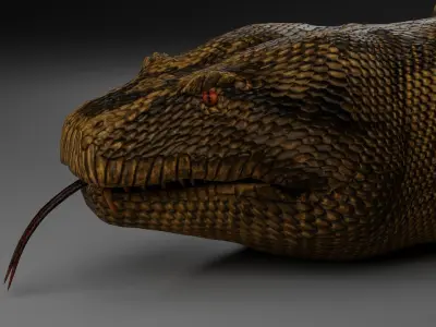 Titanoboa  Low-poly 3D model