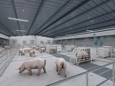 Pig farm Low-poly 3D model