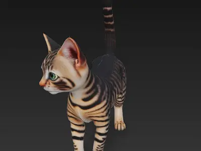 Cat Tabby Realistic 3D Model Basic - Low Poly Realistic Low-poly 3D model