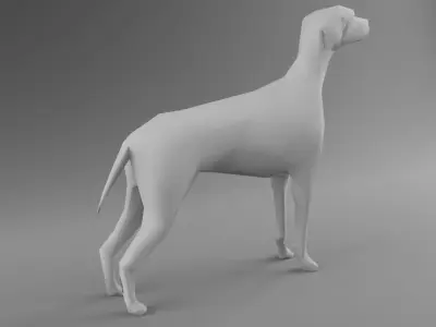 Dog 3D Model - Low Poly 2019 Nice Anatomy with 3D Scene Low-poly 3D model