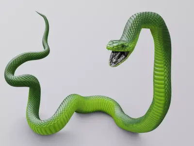 Animated Green Mamba Free low-poly 3D model