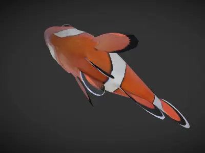  Clown Fish Low-poly 3D model