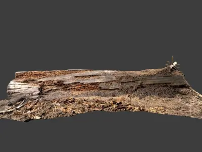 Ant Nest Log Low-poly 3D model