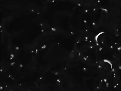 Cute Cartoon Black Cat with Big Green Eyes 3D Model Low-poly 3D model