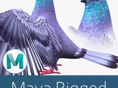 Pigeon bird Low-poly 3D model