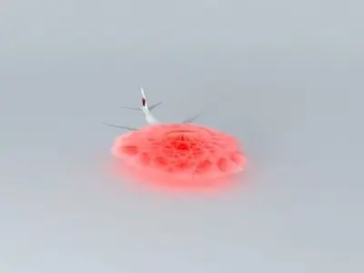 Apple Valley Air Flight 401 Free 3D model