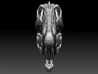 Dinosaur Spinosaurus Skull Set 3D model