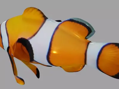 Clownfish OBJ and Blender 3D model