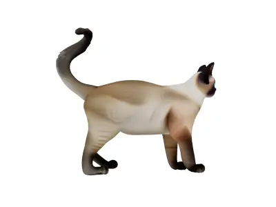 Realistic standing siamese cat with vivid blue eyes Free 3D model
