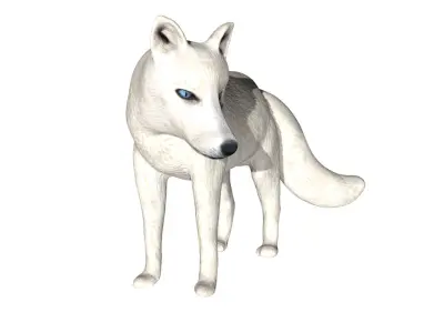 Arctic Fox Low-poly 3D model