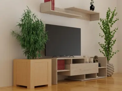 AlphaB2B STANDARTTVSONOMA Tv Unit Free low-poly 3D model