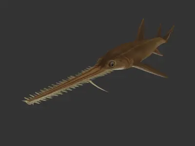 long shark mouth Low-poly 3D model