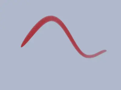 Animated Worm with curve Free 3D model