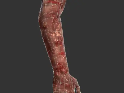 Arm Bloody Body Part Game Ready Low-poly 3D model