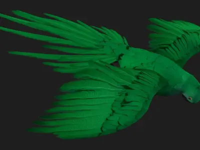 Parrot A11 3D model