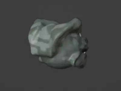 salamender head 3D model