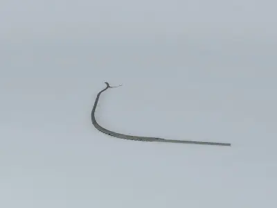 Brighton Marina East Arm Free 3D model