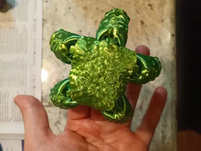Starfish Flexi Fidget toy - print in place 3D print model