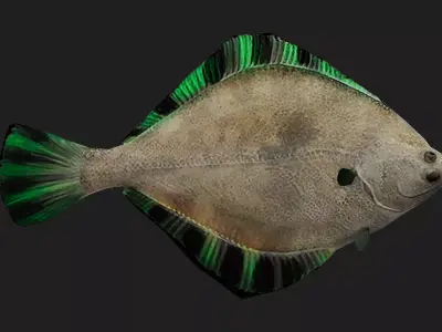 Flatfish Low-poly 3D model