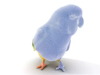 Yellow Parakeet model pack Low-poly 3D model