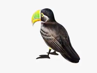 Toucan Free 3D model